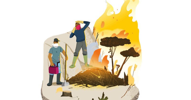 illustration showing deforestation by setting forest fires