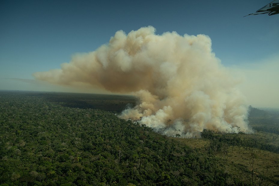 thick smoke from forest fire hangs over trees in amazon rainforest, brazil