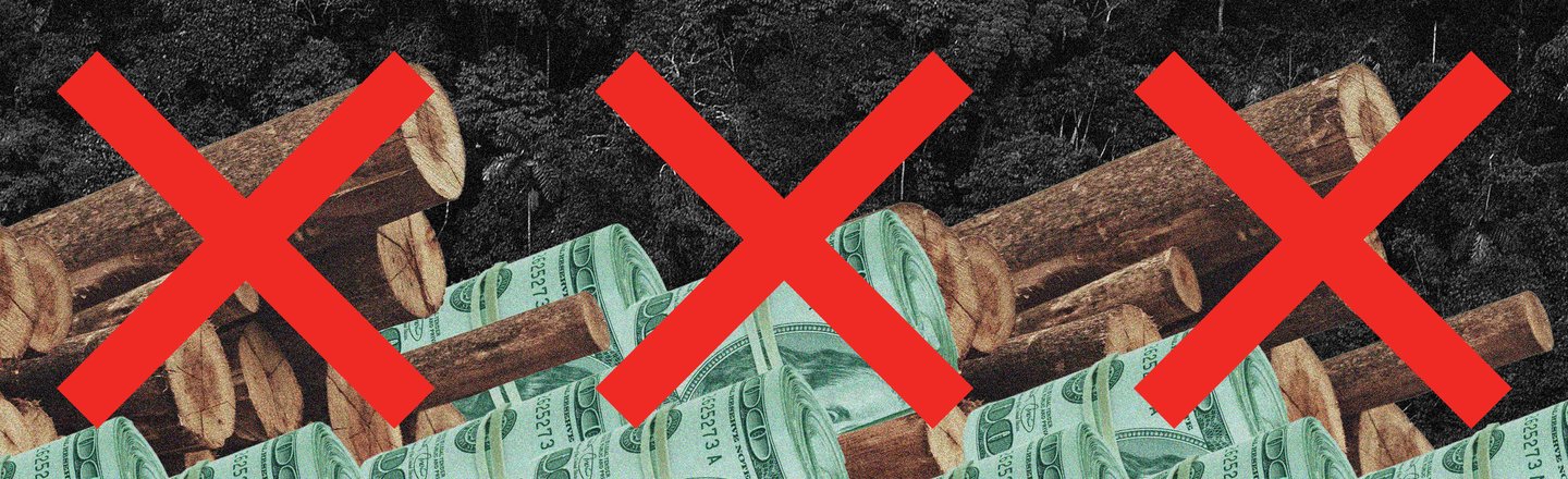 banner for global witness forests campaign, illustration of finance and deforestation