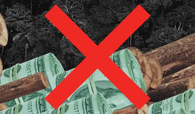 banner for global witness forests campaign, illustration of finance and deforestation