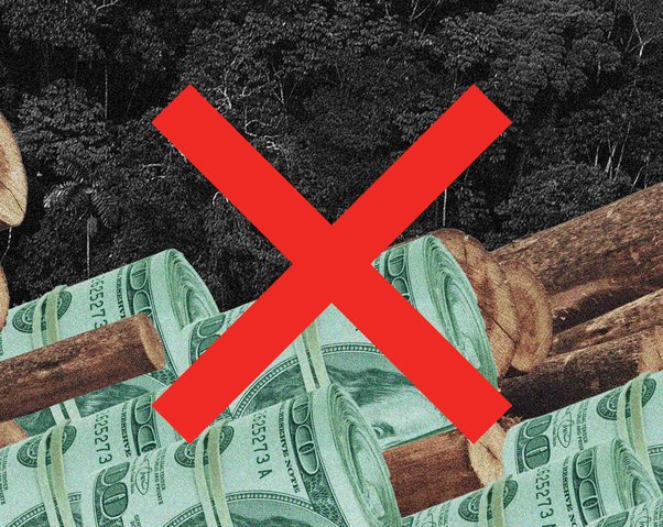 banner for global witness forests campaign, illustration of finance and deforestation