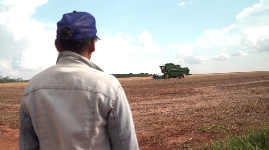 Francisca Portillo, of the Yvpe Colony, observes harvesters working land from which she was evicted