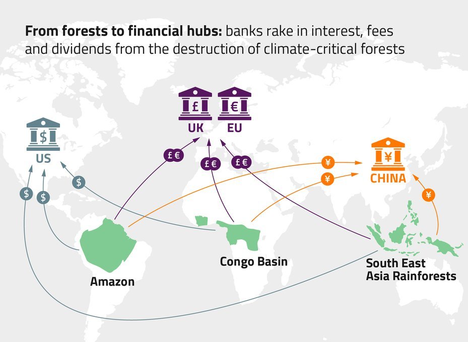 map showing financial flows between deforestation in climate-critical forests and banks, with text that says "From forests to financial hubs: Banks rake in interest, fees and dividends from the destruction of climate-critical forests"