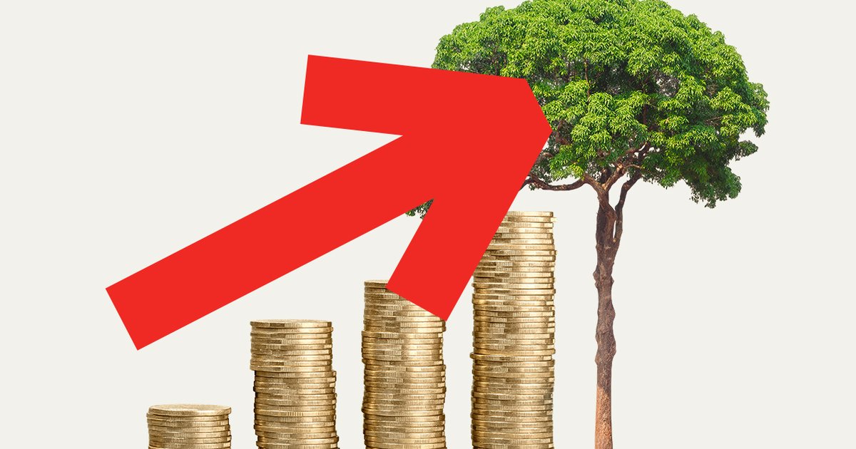 Chinese lenders among top backers of “forest-risk” firms