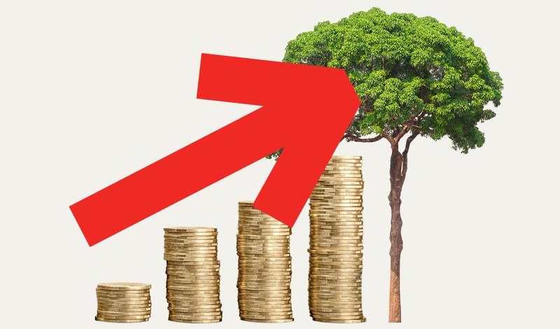 Collage showing money and forests with arrow going upwards