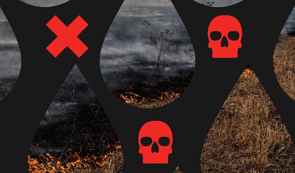 Graphic collage showing land burning with skull and oil iconography