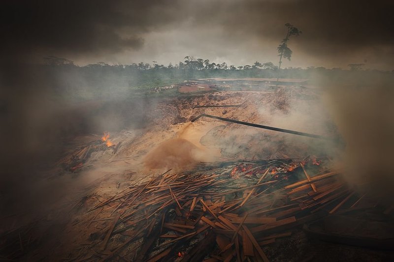 Scenes from timber operations in Mindourou, Cameroon. Brent Stirton / Getty