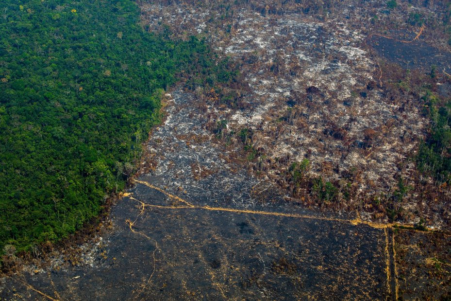 Aerial view of deforestation in Nascentes da Serra do Cachimbo Biological Reserve in Altamira, Para state, Brazil