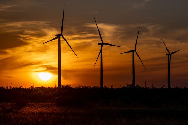 Wind turbines operate in a field at sunrise on June 28, 2024 in Nolan, Texas