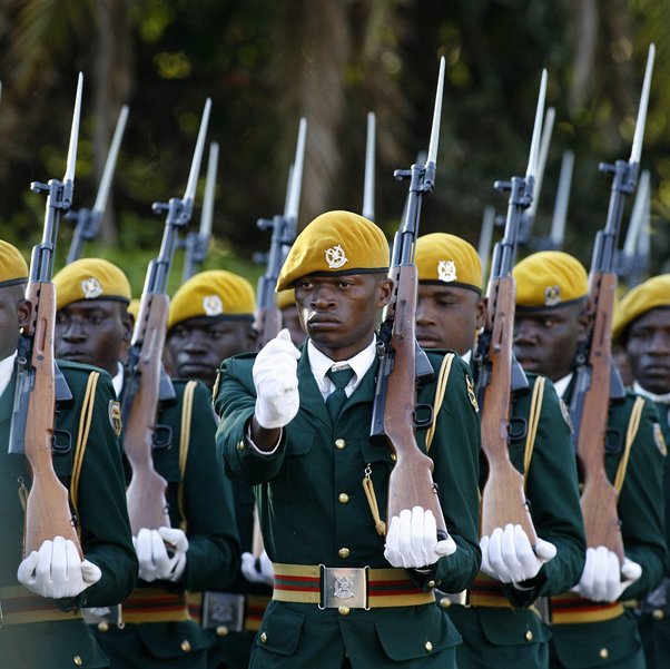 Zim soldiers