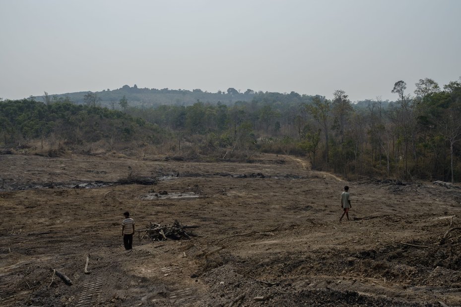 Local residents walk through forest, cleared to make way for a rubber plantation in Ratanakiri Province, Cambodia