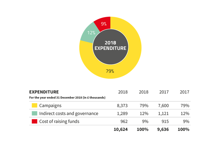 pie chart showing Global Witness expenditure 2018