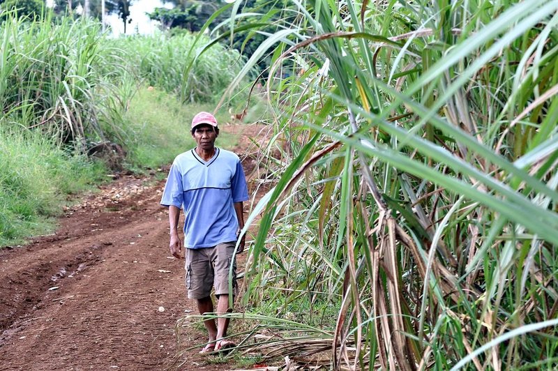 The ancestral lands of the Manobo Pulanguihon are threatened by plantations used to grow fruit for some of the world's biggest and best-known brands, Del Monte and Dole