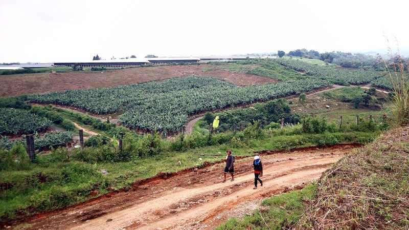 Rosendo Lumalan and Norven Yambon on their small portion of farm land