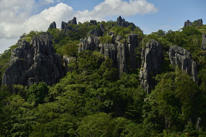 forest covering rocky hill in the Masungi Georeserve, the Philippines