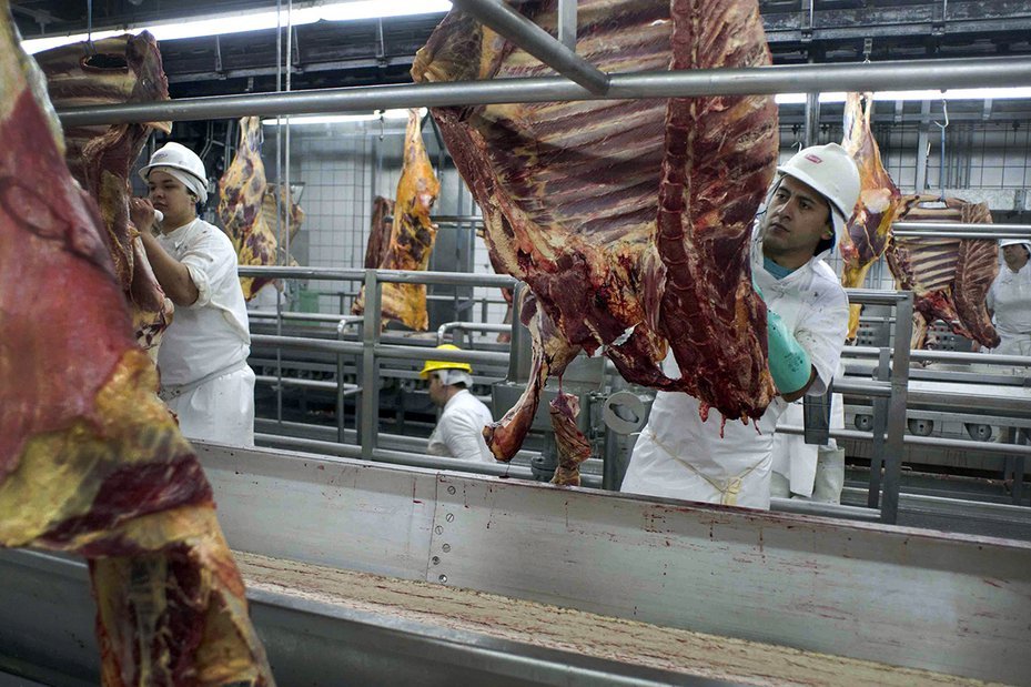 meat hanging from ceiling for processing by employees in JBS Swift & Co. Meat Processing Plant