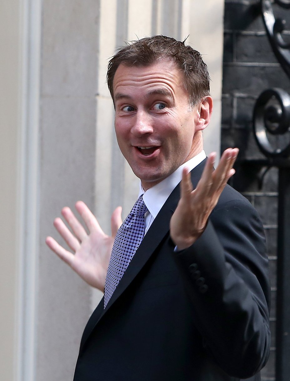 Cabinet minister Jeremy Hunt