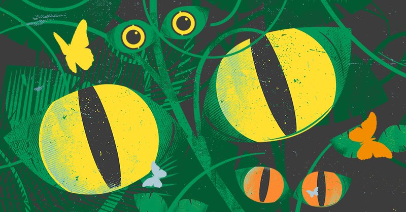 illustration showing yellow eyes emerging from thick rainforest, illustrating biodiversity in tropical forests