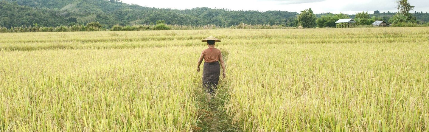 land defender walking through tall green field, land deals campaign banner