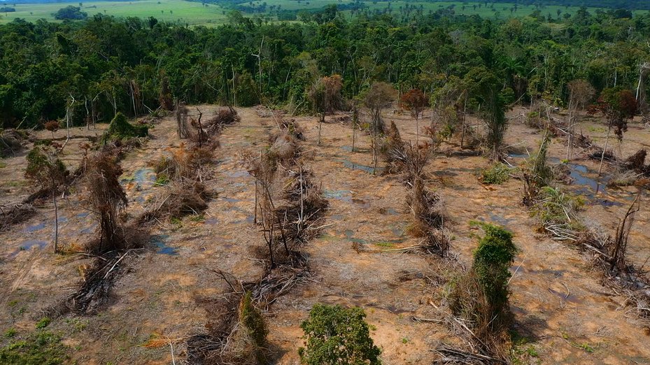 aerial view of deforestation