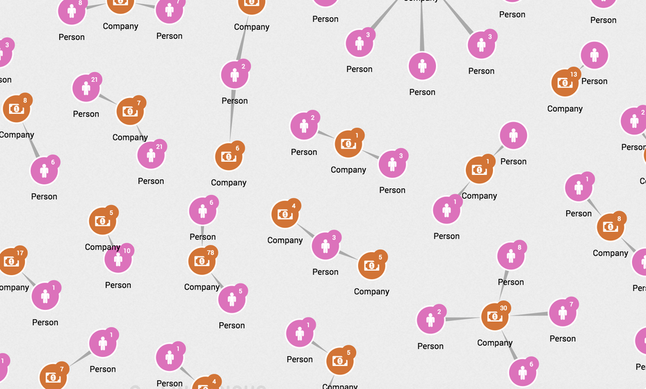 network of nodes made up of persons and companies