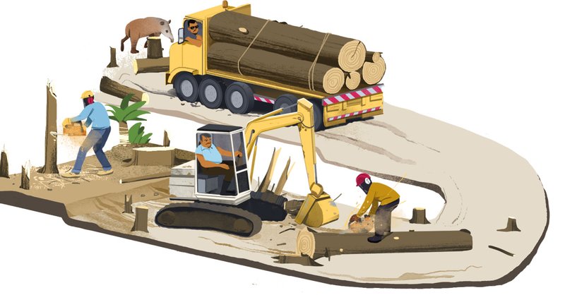 illustration showing loggers driving vehicles to cut down trees, rainforest suffering deforestation