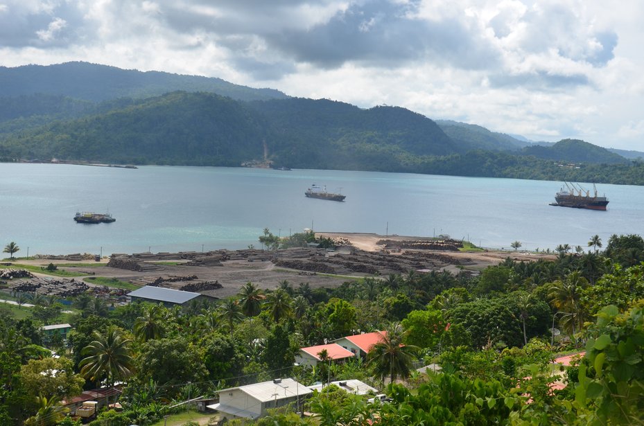 Logs stacked for export in Vanimo harbour, West Sepik Province, Papua New Guinea, October 2019