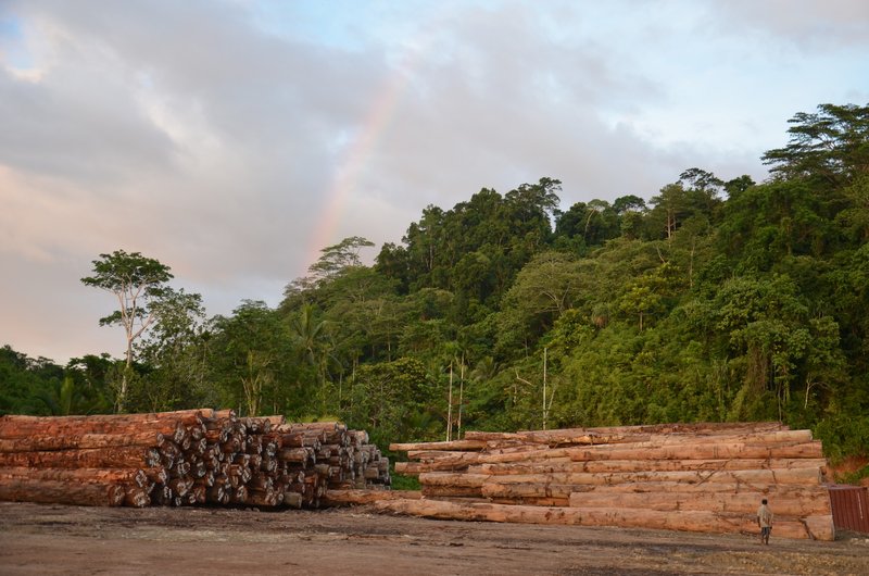 Logs waiting for export with rainbow in background, Manus Island, Papua New Guinea