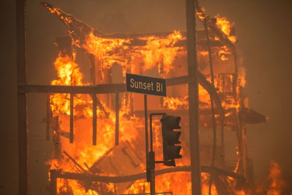 Los Angeles Fires