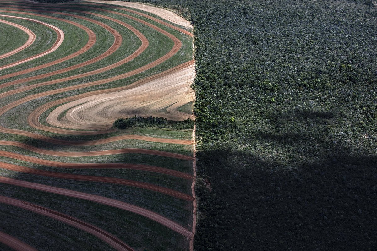 aerial view of MATOPIBA in Cerrado