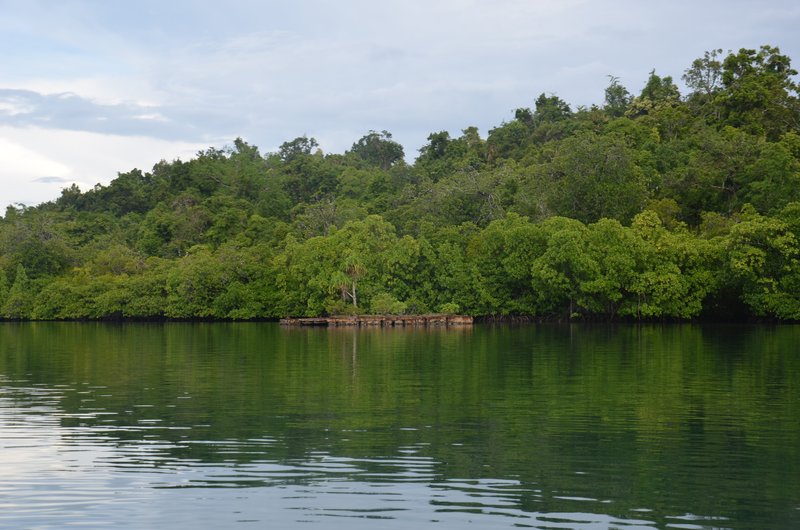 world war two detritus floats off coast of Manus Island on Papua New Guinea, a hotspot for biodiversity