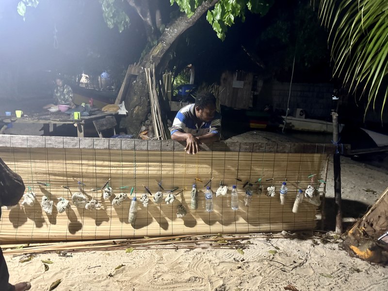 A man on a beach making a palm frond screen with shells dangling from it