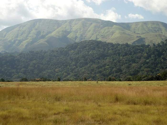 Mount Nimba in Guinea