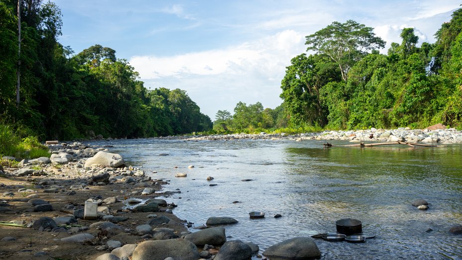 Natural rivers and intact rainforest areas in the Bainings region of East New Britain Province, Papua New Guinea