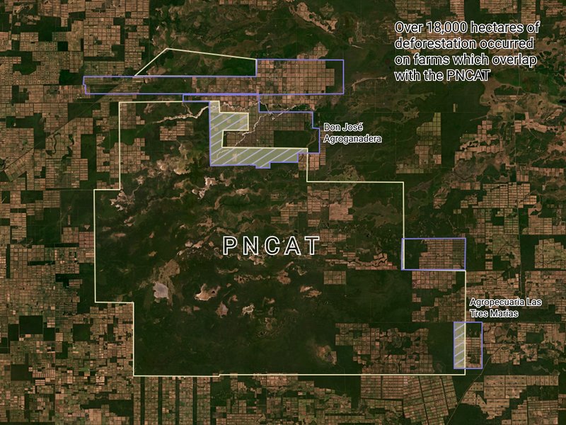 Satellite imagery by Planet Labs. Data from Catastro Paraguayo