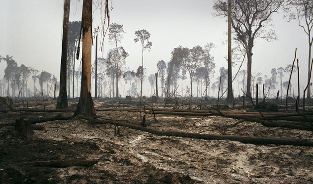 An area of deforestation on the border of the Amazon rainforest burned down to produce charcoal and to grow soybeans or raise cattle.