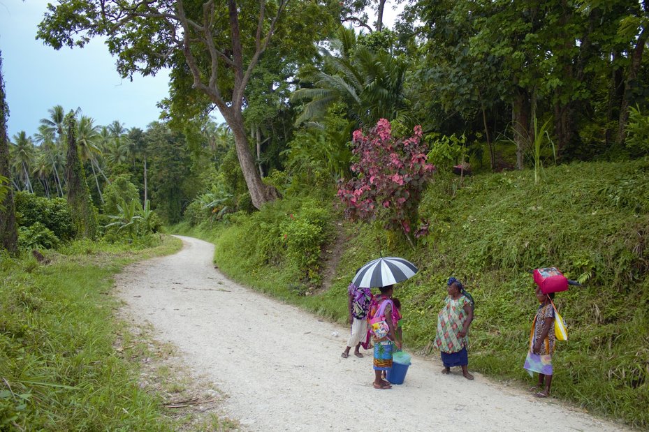 Papua New Guinea people wait for a lift by the road