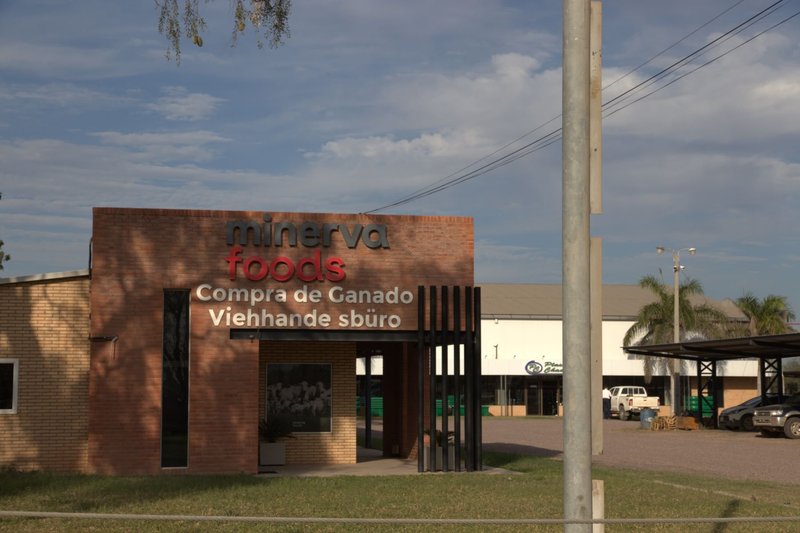 Minerva Foods cattle purchasing hub, Loma Plata, Northern Paraguay