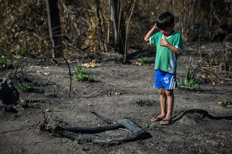 A Parakanã boy stands over a charred snake carcass, in Pará state, Brazil. Cícero Pedrosa Neto / Global Witness