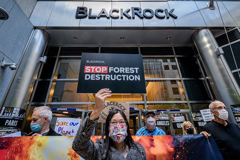 Participant holding a sign that reads "Stop Forest Destruction" at the BlackRock protest, New York