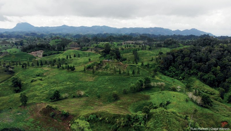 An army base overlooks a coffee plantation in Mindanao, the Philippines. Eight members of the community who opposed the plantation were killed in an army attack in 2017