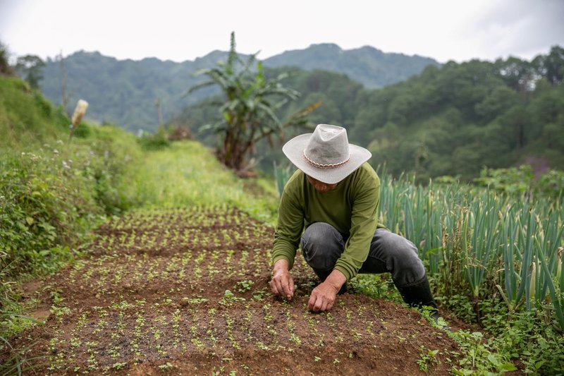 Joseph must now reckon with typhoons hitting his farmland nearly every year, decimating his crops and livelihood. Basilio Sepe