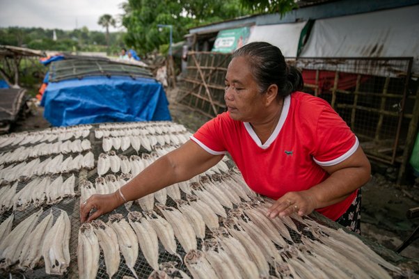 When typhoons hit in the Philippines, Alfea Dalisolyones's fishing community must reckon with insecure food stocks. ADRA