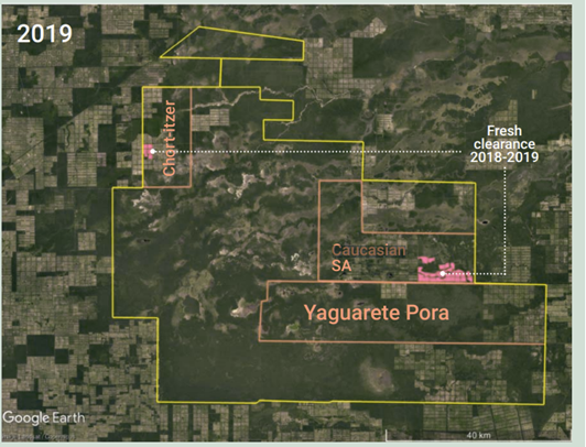 map from Earthsight shows deforestation