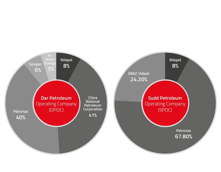 south sudan oil pie charts 1