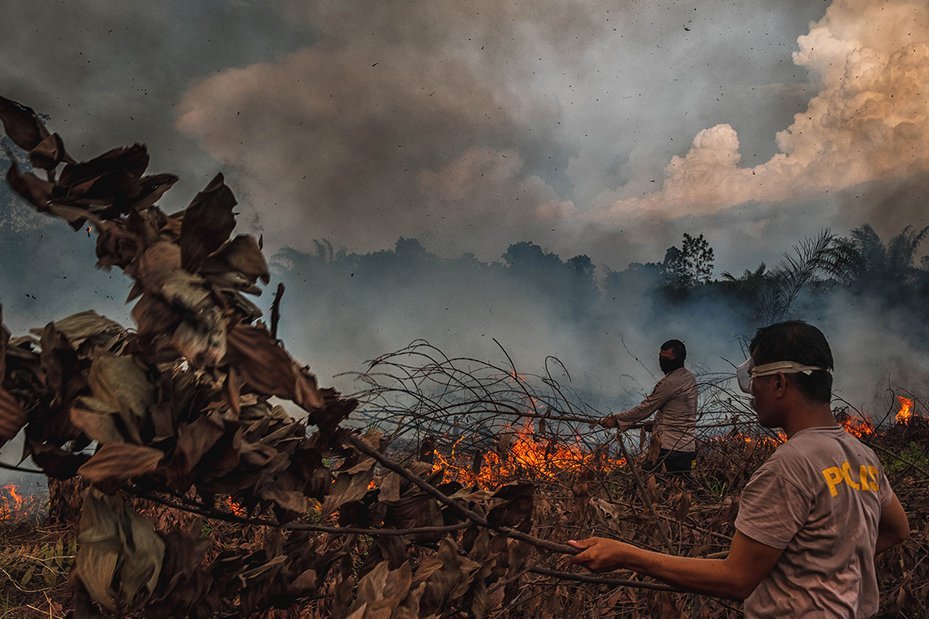 Police officers try to extinguish a forest fire at Rumbai Pesisir village in Riau, Sumatra