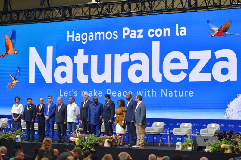 President Gustavo Petro and UN Secretary-General António Guterres open the high-level sessions at COP16: Peace with Nature in Cali on October 29, 2024. Gabriel Aponte / Getty Images