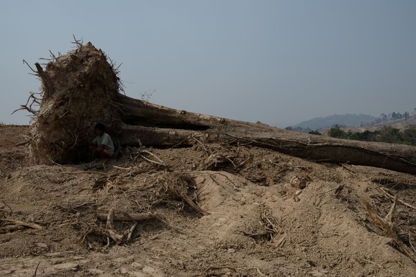 A villager rests in the shade of a felled tree inside a HAGL Economic Land Concession in Ratanakiri province, Cambodia