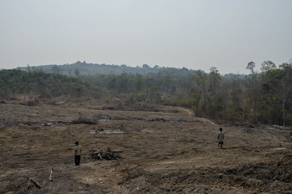 Local residents walk through what was once forest, recently cleared to make way for a rubber plantation in Ratanakiri Province