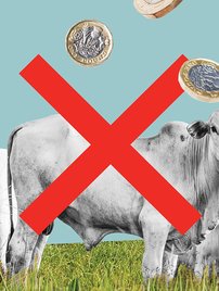 Illustration featuring cows, coins and a big red cross